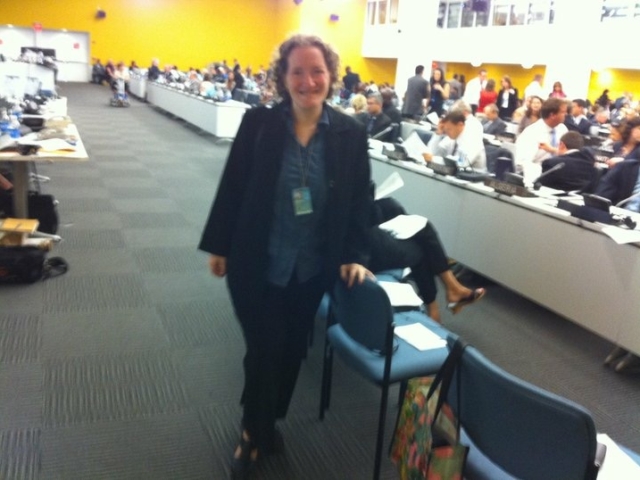 Rhonda in front of the Conference of States Parties, 2010