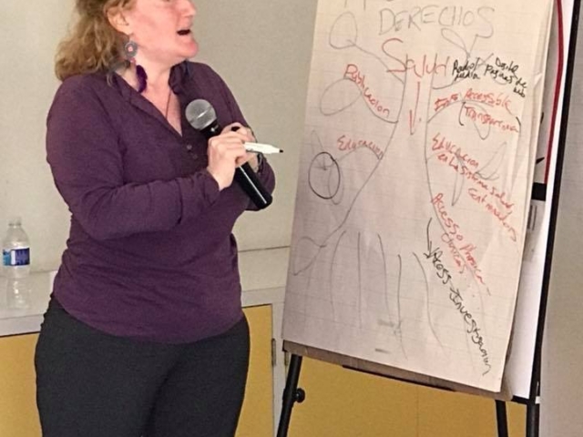 Rhonda standing with a microphone training - while writing and exercise on a whiteboard.