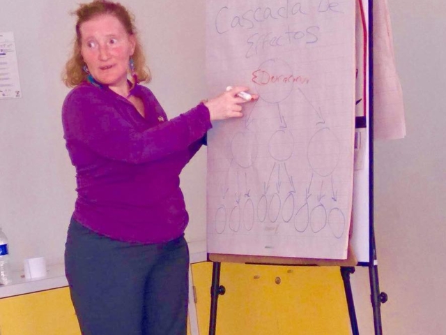 Rhonda standing at a whiteboard doing an exercise on the cascade of rights, Oaxaca, Mexico
